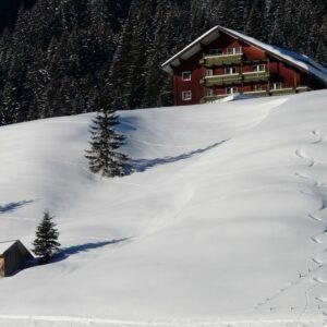 Ein schneebedecktes Ferienhaus im bayerischen Wald